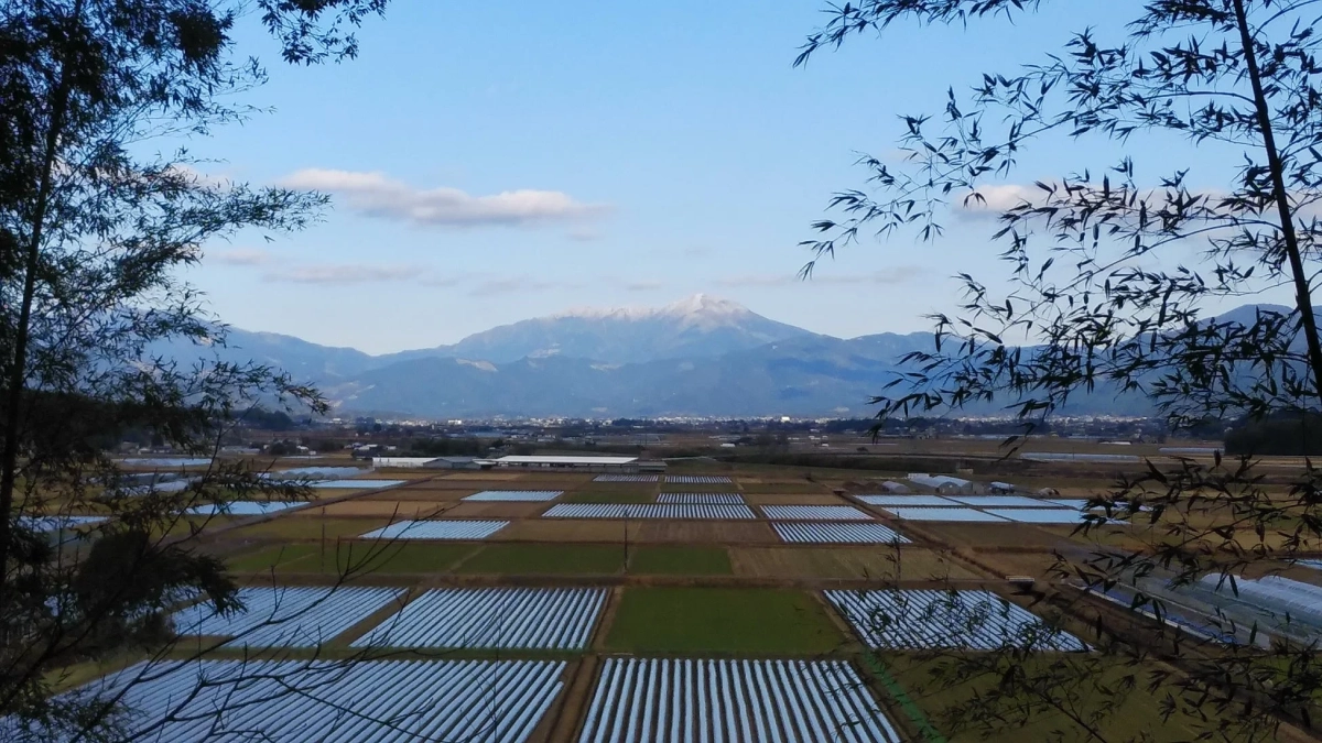 錦町の田園風景と山