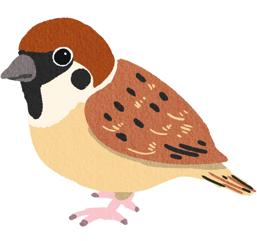 スズメのイラスト