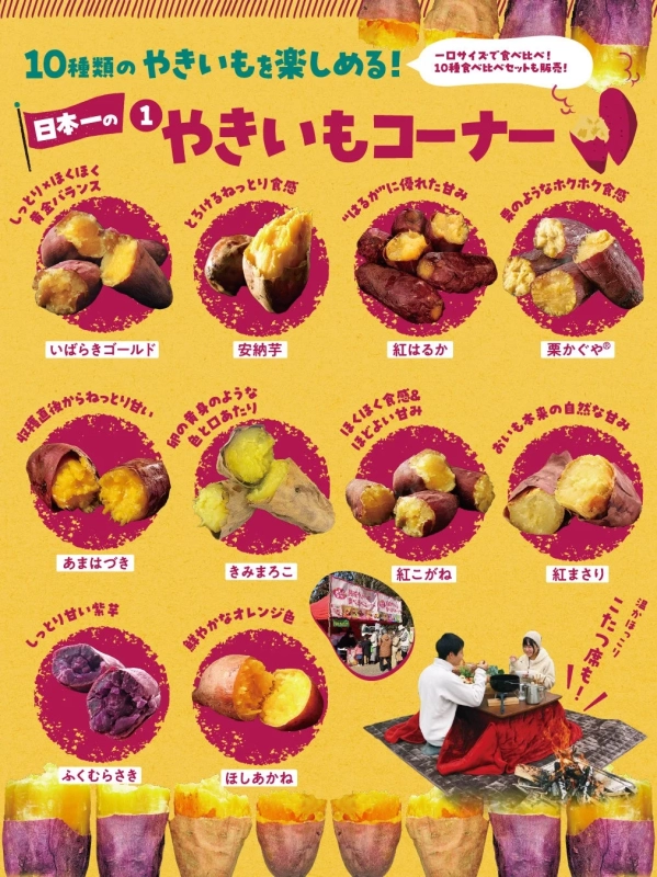 10種類のやきいも