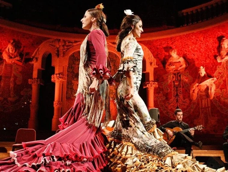 フラメンコダンサー