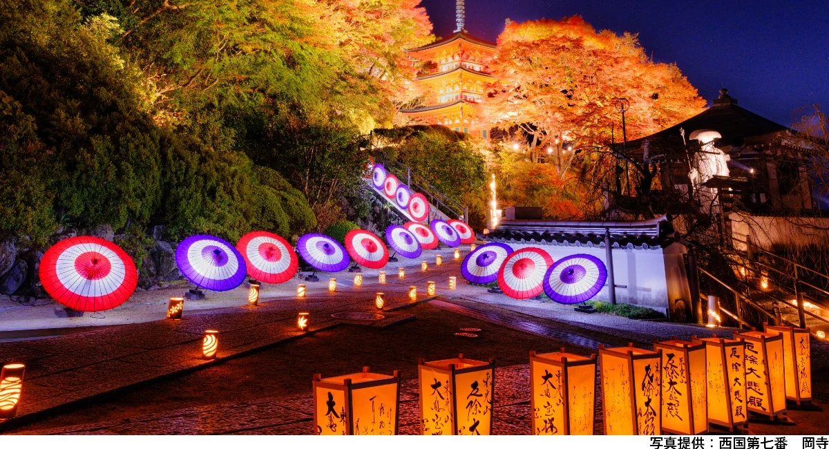 岡寺の紅葉ライトアップ