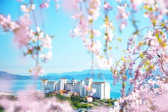 桜,春,景色,海,建物,リゾート,青空,美しい,花,自然,旅行,風景