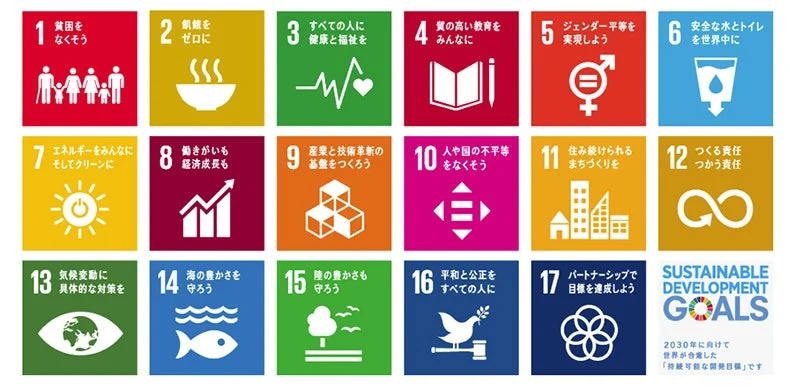 SDGsの17の目標を示すカラフルなアイコンと説明