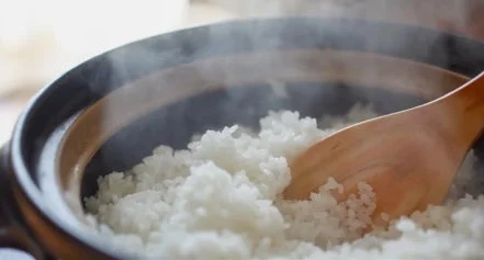 炊きたてのご飯