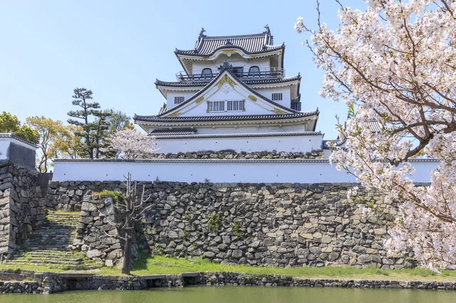 桜咲く岸和田城
