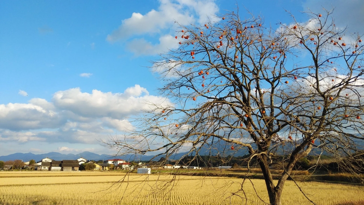 秋の錦町の風景