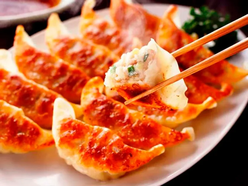 宇都宮焼き餃子(栃木県)