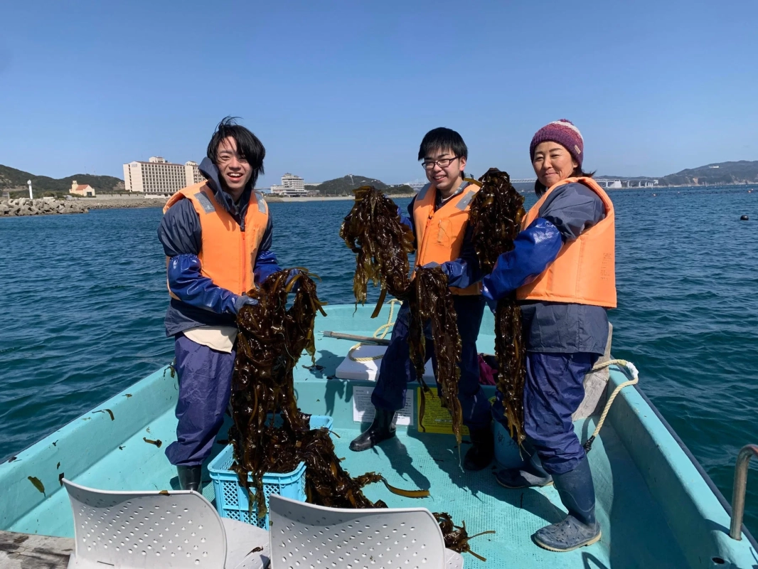 海藻,収穫,漁業,船,海,人々,笑顔,ライフジャケット,作業着,ワカメ,日本,自然,青空,水産業,海上