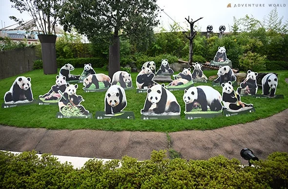 パンダの等身大パネルが展示されている様子