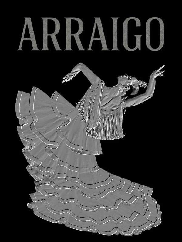 フラメンコダンサー