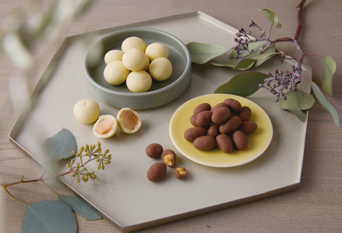 ナッツ入りチョコレート