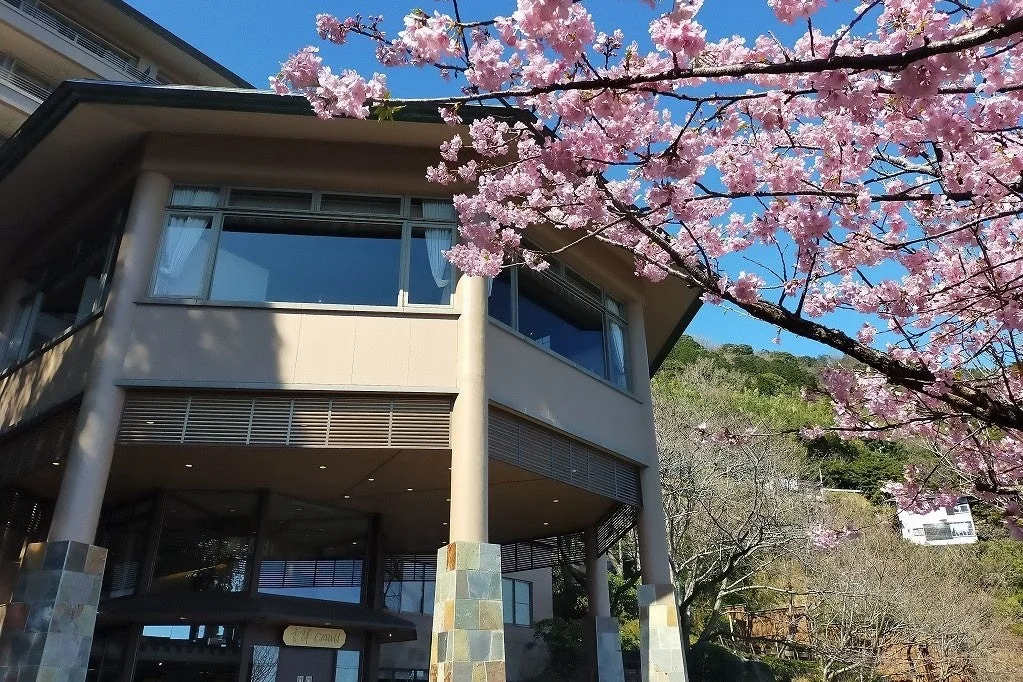 桜とモダンな建物