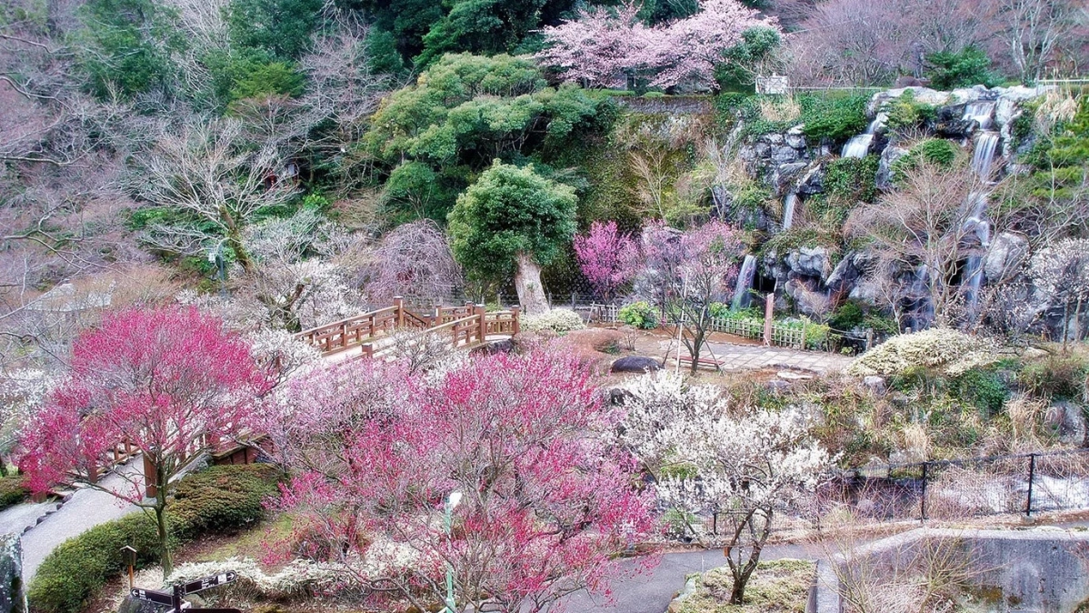色とりどりの花が咲き誇る美しい日本庭園の風景