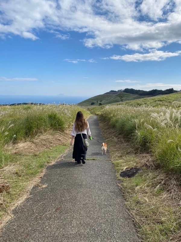 ススキ野原を犬と散歩する女性