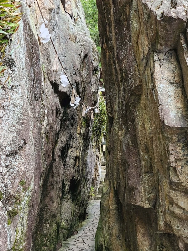 巨大な岩壁の間を縫うように続く、石畳の狭い道が写っています。道の上には注連縄のような白い紙飾り（紙垂）が見られ、神聖な場所であることを示唆しています。神秘的で静かな日本の風景です。