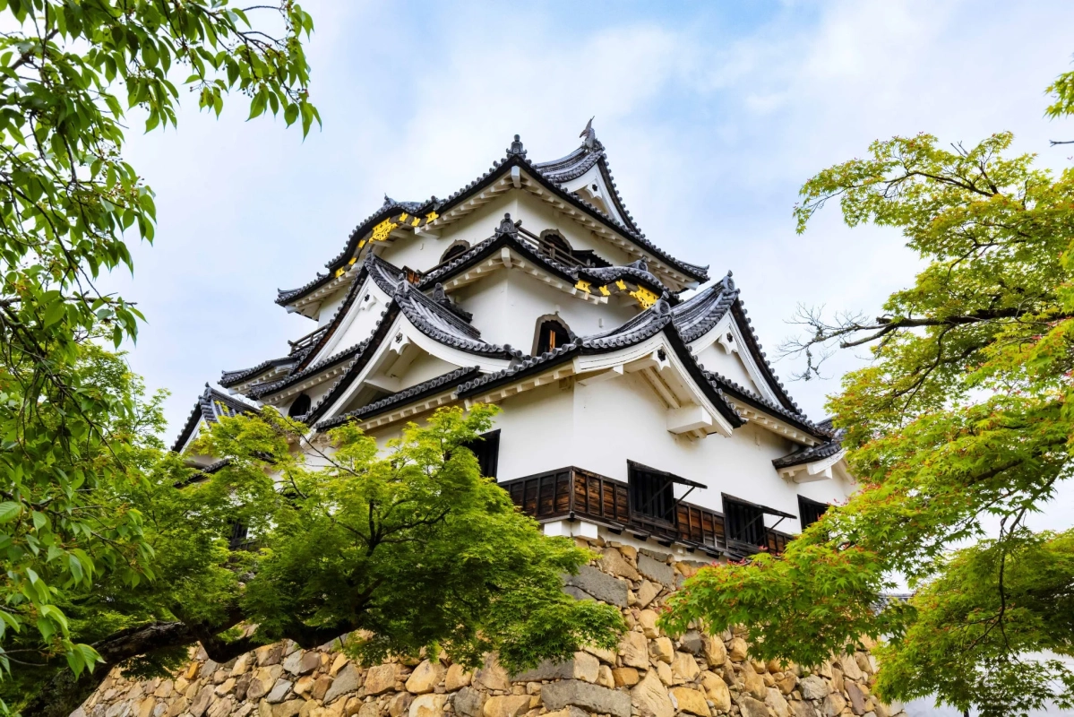 新緑に囲まれた日本の城を捉えた写真です。白壁と黒瓦の天守閣が石垣の上にそびえ立ち、金色の装飾が特徴的です。歴史と自然が調和した、日本の伝統的な美しさを感じさせる風景です。