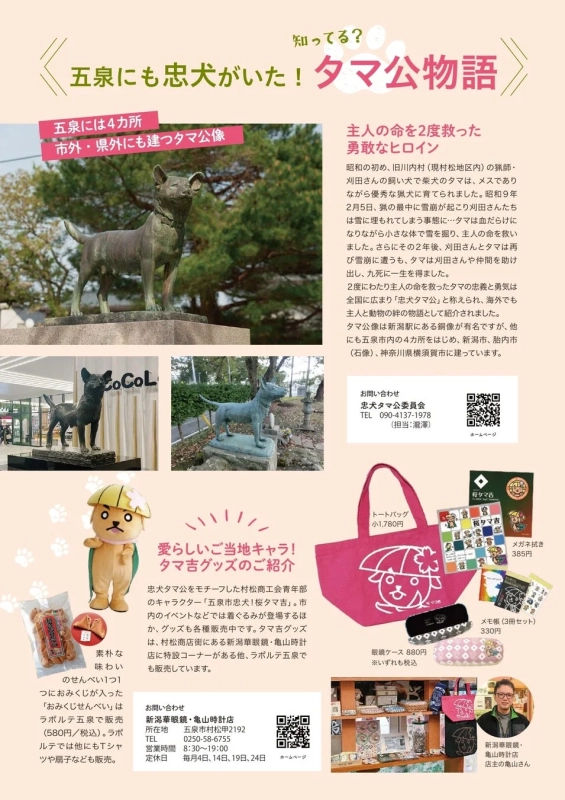 五泉市に伝わる忠犬タマ公の物語を紹介するニュースレターのページ
