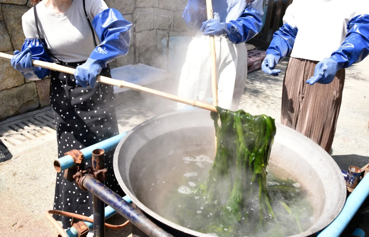 屋外で海藻を湯がいている様子