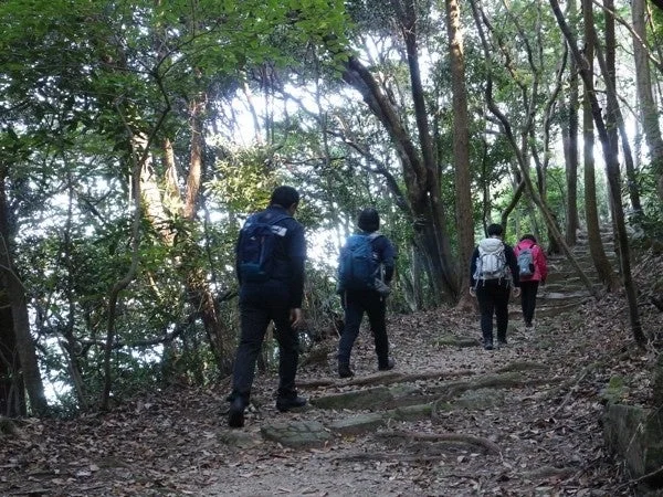 森林の中の山道を4人のハイカーが登っている様子