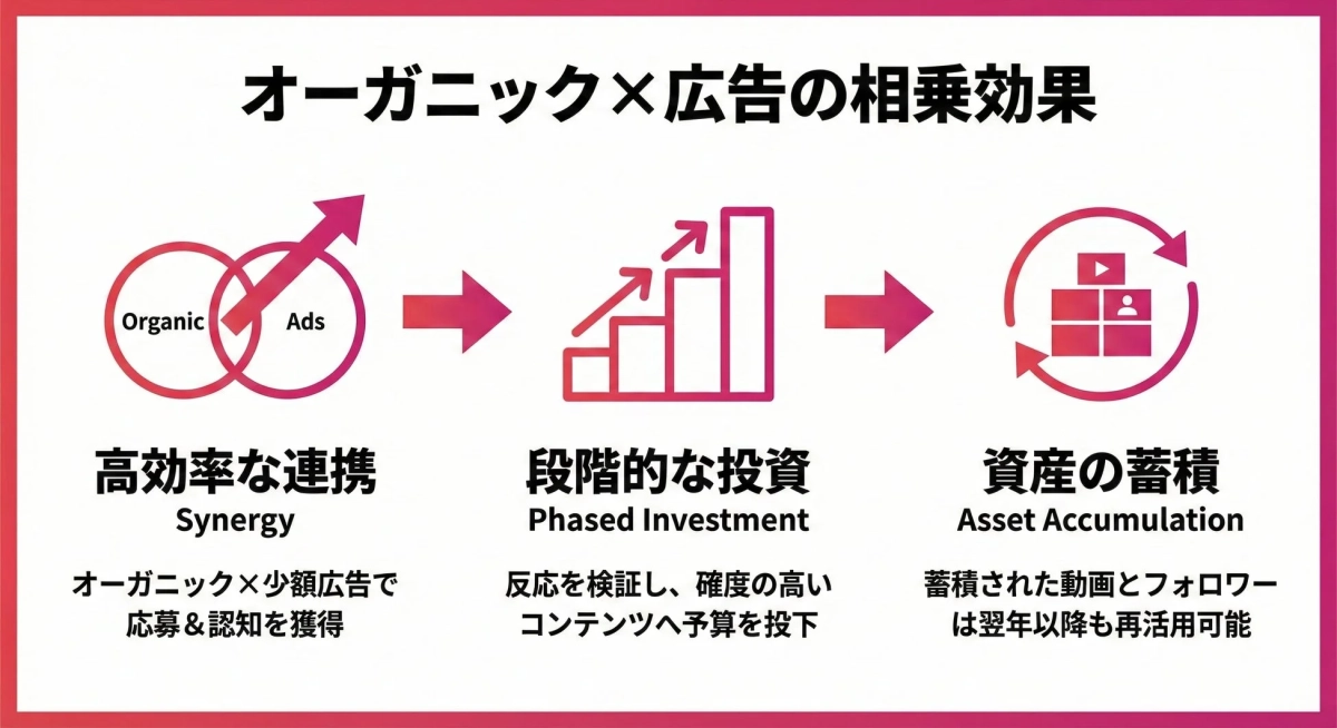 オーガニックと広告の相乗効果を活用したマーケティング戦略