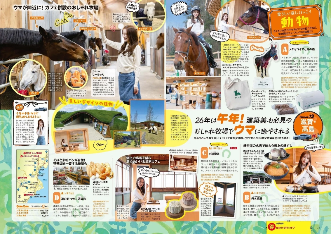 馬の牧場のイメージ