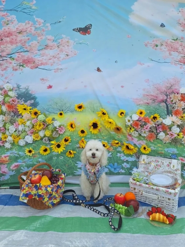 フォトブースのイメージ