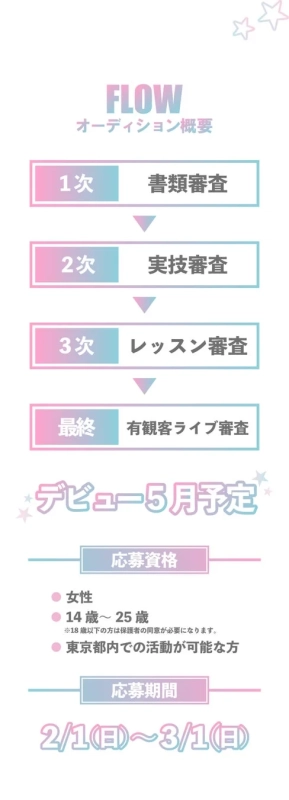 オーディションフロー