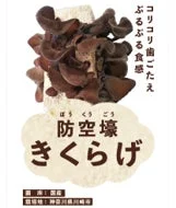 防空壕きくらげ