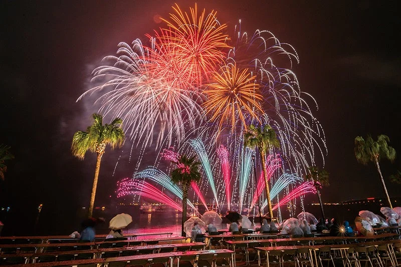 花火とヤシの木