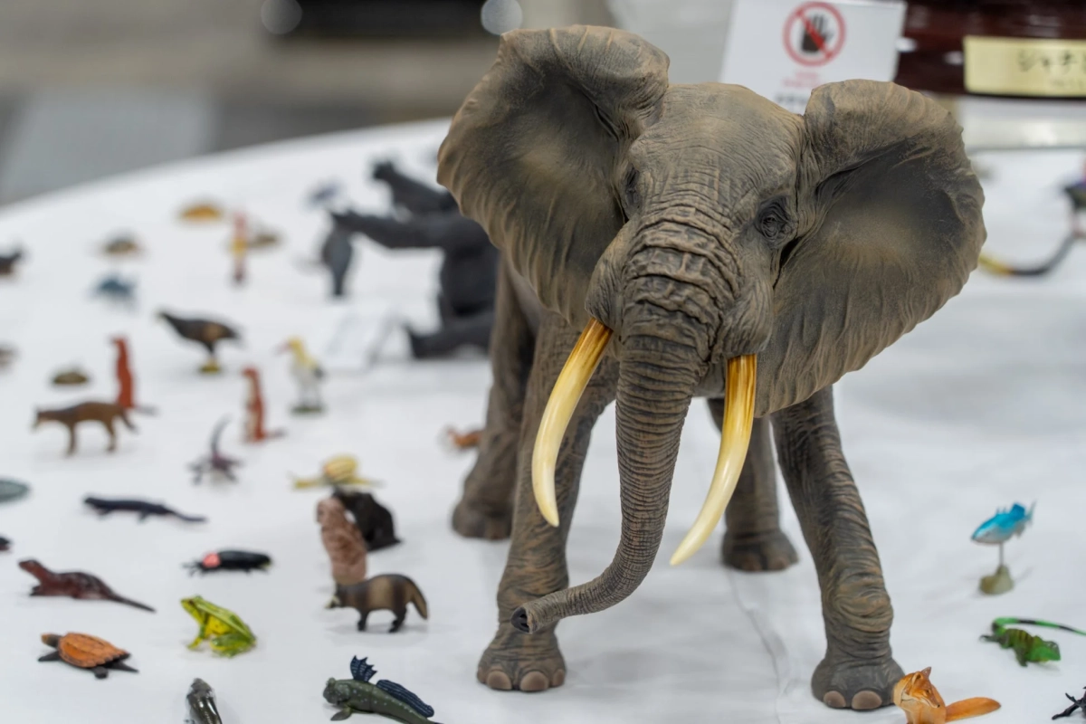 様々な動物フィギュアの展示