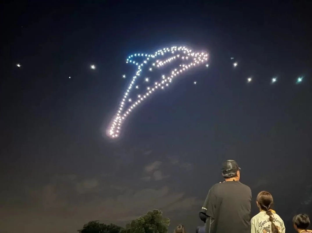 イルカのドローンショー