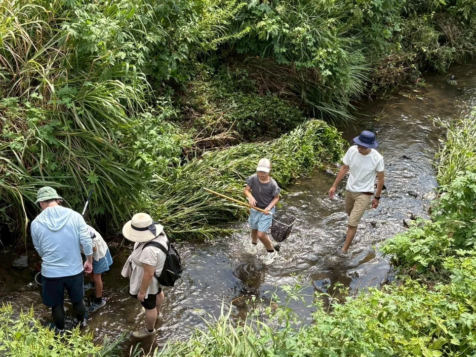 水辺の生きもの観察会