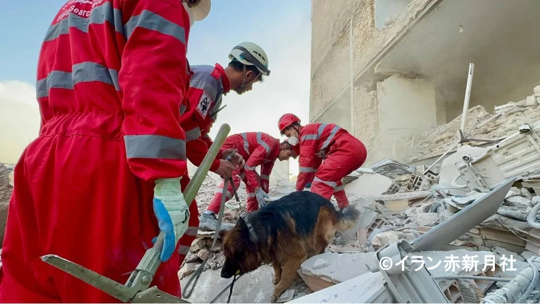イラン赤新月社の救助隊員と救助犬が、倒壊した建物の瓦礫の中で捜索活動を行っている様子