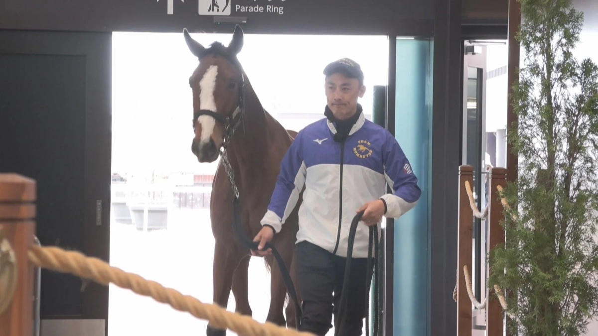 男性が馬を引いて屋内を進んでいる様子
