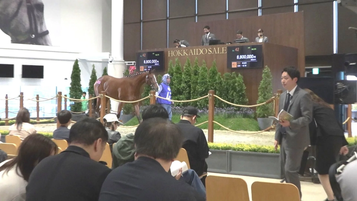 北海道で開催されている馬の競り市の様子