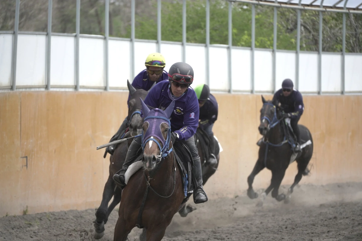 ダートコースで複数頭の競走馬と騎手が調教またはレースを行っている様子